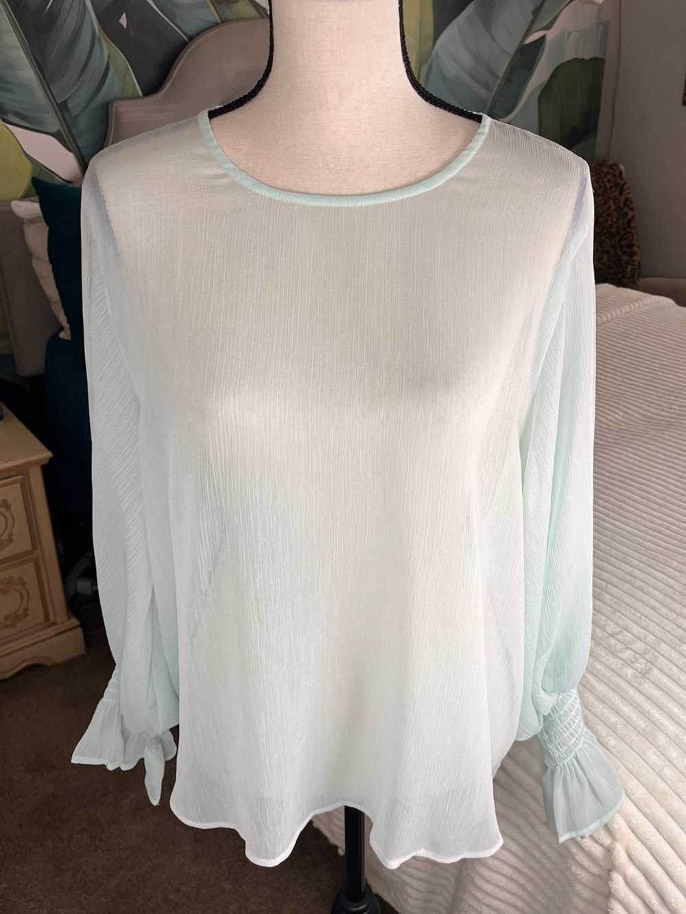 Know One Cares Seafoam Green Sheer Long-Sleeve Women's Blouse Size XL